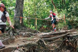 BIB: 
                            <button type="button" onclick="openModal(27558393)" class="btn btn-primary btn-sm float-right btn-popup" data-toggle="modal" data-target=".modal-high-quality">
                        <i class="fas fa-shopping-cart"></i> Add to Cart
                    </button>
                                            <button type="button" onclick="isThisMe(27558393, true)" class="btn btn-success btn-sm float-right btn-popup btn-isme hidden" data-toggle="tooltip" data-placement="bottom" title="นี่คือรูปของคุณใช่ไหม คลิกที่นี่เพื่อเอาเข้าอัลบั้ม">
                        <i class="fas fa-plus"></i> Add to album
                    </button>
                    <button type="button" onclick="isThisMe(27558393, false)" class="btn btn-warning btn-sm float-right btn-popup btn-isnotme hidden">
                        <i class="fas fa-ban"></i> Remove from album
                    </button>